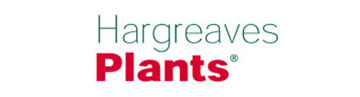 Lloyd International - Hargreaves Plants